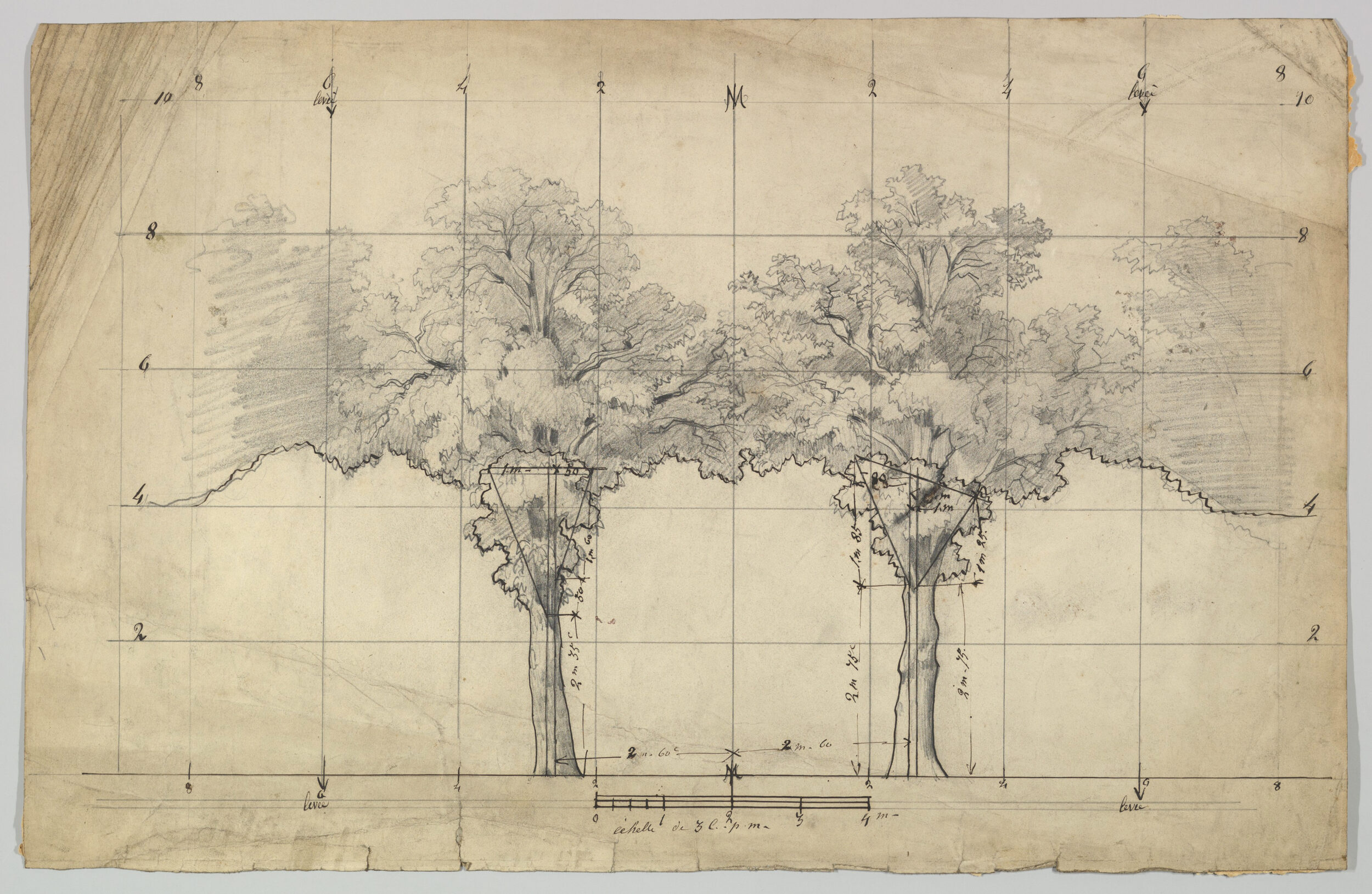 Eugène Cicéri, Dessin de deux arbres avec indications techniques, XIXe siècle